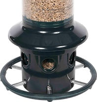 Ruokinta Squirrel Buster plus, lintujen ruokintalaite, joka kestää ja estää oravat